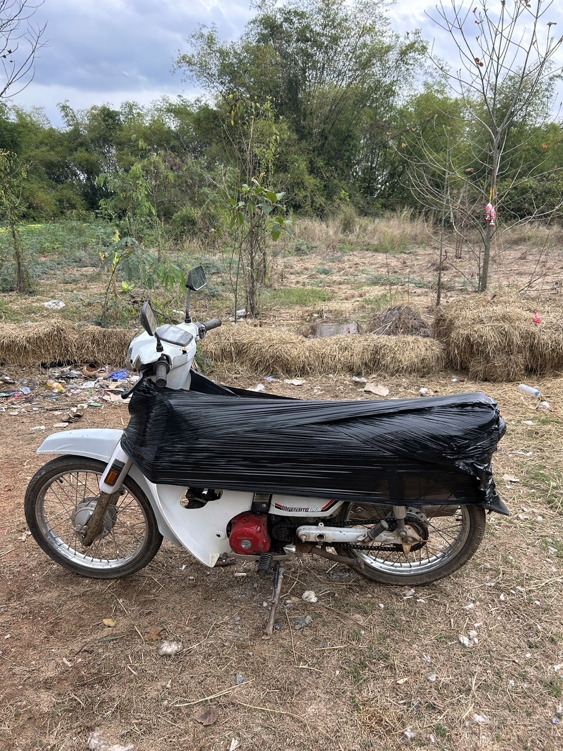 CKT Transport - CKT Transport Galleries 127