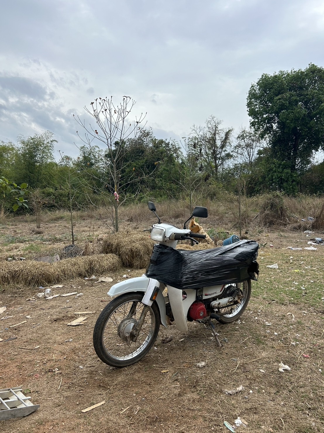 CKT Transport - CKT Transport Galleries 127