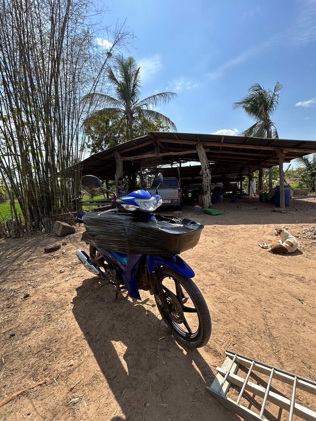 CKT Transport - CKT Transport Galleries 129