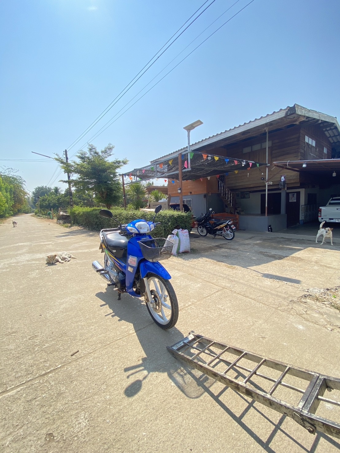 CKT Transport - CKT Transport Galleries 88